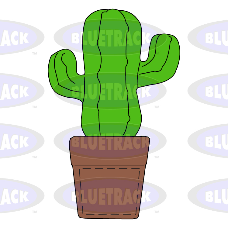 Cactus best sale stress ball